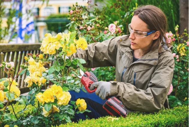 Einhell accu snoeischaar GP-LS 18/28 Li Solo met accu € 109, Jardin & Terrasse, Taille-haies, Neuf, Batterie, Enlèvement ou Envoi