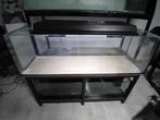 3 aquaria met stelling, verwarming, pompen en verlichting, Dieren en Toebehoren, Ophalen, Gebruikt, Leeg aquarium