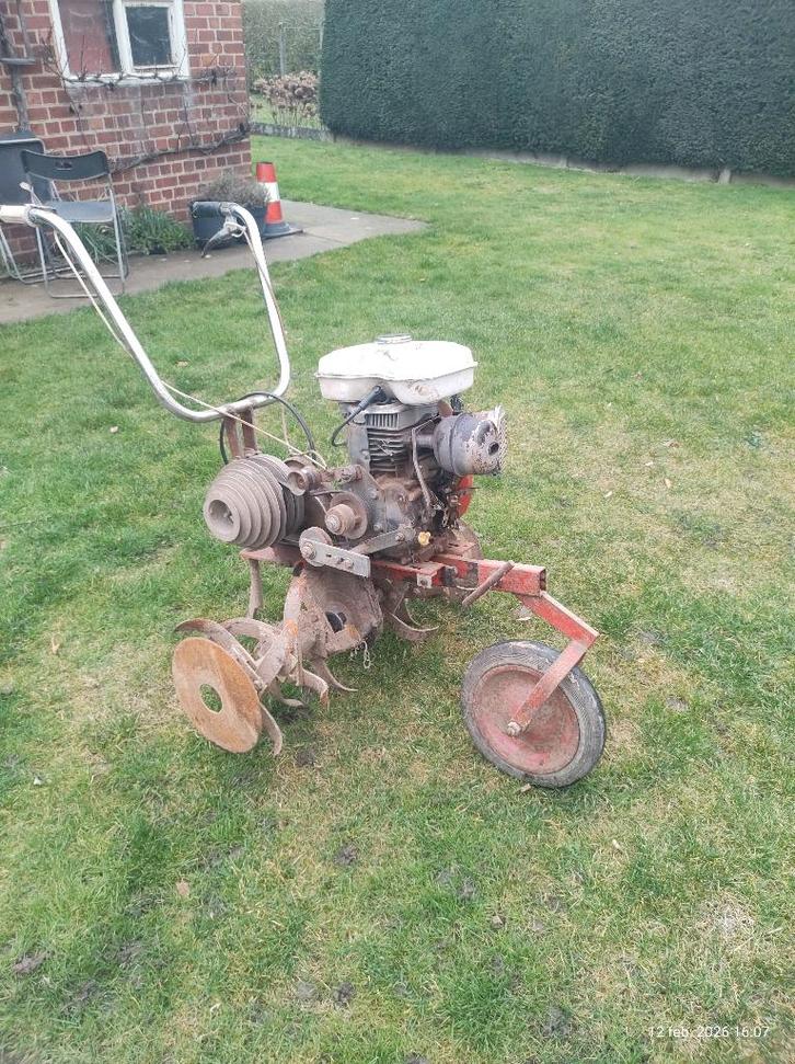 Tuinfrees, Tuin en Terras, Hand-tuingereedschap, Gebruikt, Overige soorten, Ophalen