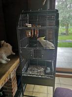 Papegaaikooi, Dieren en Toebehoren, Ophalen, Gebruikt, Metaal, Vogelkooi