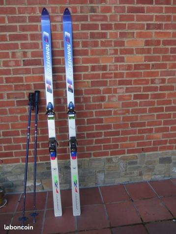ski rossignol baton housse beschikbaar voor biedingen