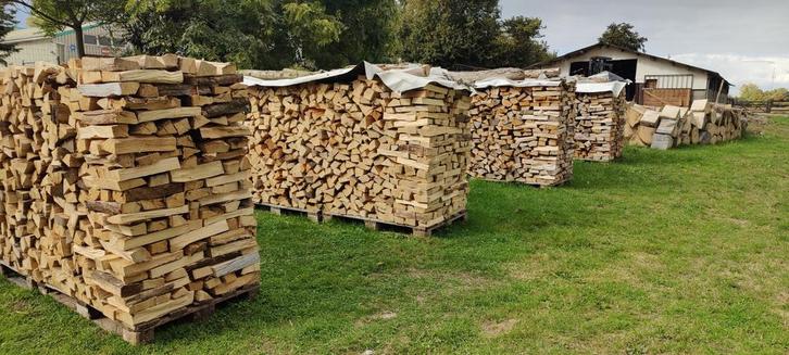 SEC, mélange de chêne et de hêtre, Jardin & Terrasse, Bois de chauffage, Enlèvement ou Envoi