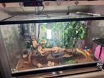 Terrarium, Dieren en Toebehoren, Ophalen, Zo goed als nieuw