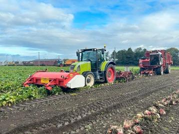 Voederbieten rooien regio Kempen beschikbaar voor biedingen