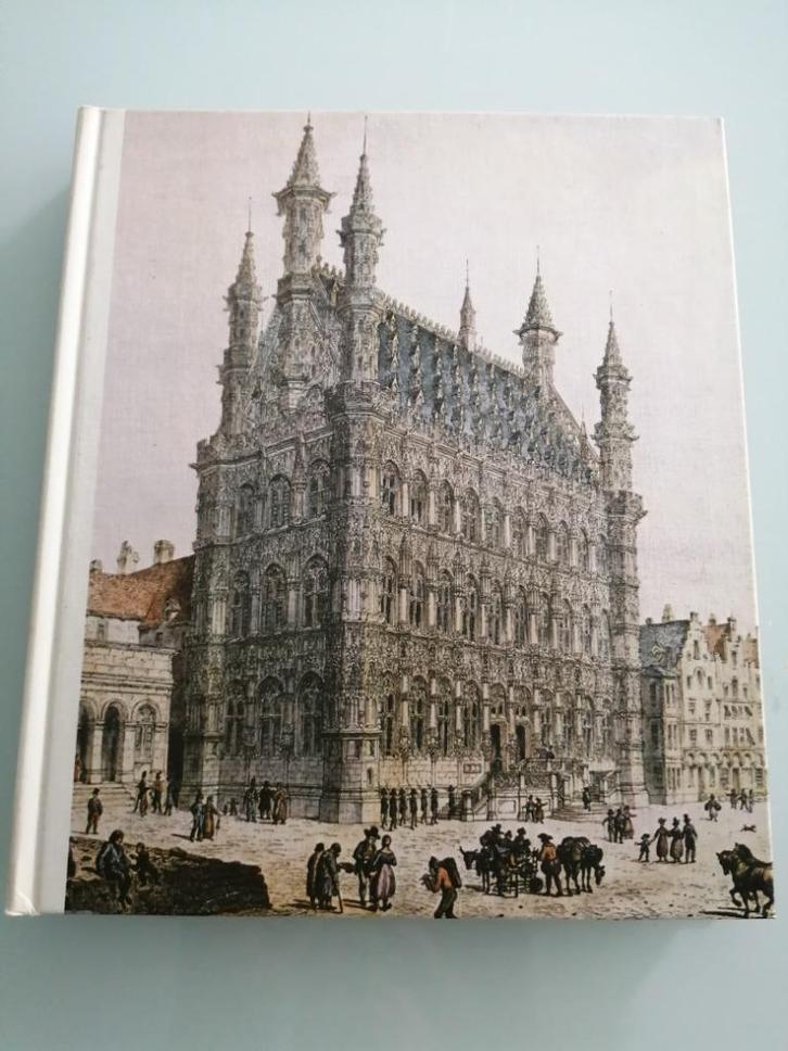 Boek LEUVEN geschiedenis, Boeken, Geschiedenis | Stad en Regio, Gelezen, Ophalen of Verzenden