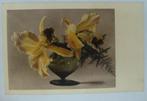 vieille carte postale fleurs orchidées, Collections, Envoi, Affranchie, Autres thèmes