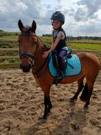 Leuke 3 jarige c-pony zoekt goede thuis, Dieren en Toebehoren, Gechipt, Ruin, Zadelmak, 3 tot 6 jaar