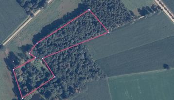 Bos grond (+/- 1,6ha) beschikbaar voor biedingen