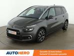 Citroën C4 Spacetourer 1.2 PureTech Shine (bj 2020), Gebruikt, 7 zetels, 96 kW, Handgeschakeld