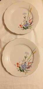 Inka dinerborden (2), Huis en Inrichting, Keuken | Servies, Ophalen of Verzenden, Gebruikt
