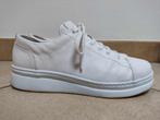 Witte sneakers merk Camper, maat 39, zo goed als nieuw, Wit, Ophalen of Verzenden, Sneakers, Nieuw