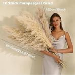 10 bouquets d'herbe de pampa séchée | Nouveau, Maison & Meubles, Accessoires pour la Maison | Fleurs séchées, Neuf, -, -, Shokan