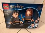 Lego Harry Potter set 76393 Harry Potter & Hermelien Griffel, Ophalen of Verzenden, Nieuw, Complete set, Lego