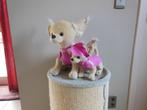 * grotere pluche hond chiwawa, Ophalen of Verzenden, Hond