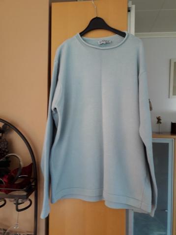 Pull en coton bleu clair T40/42 beschikbaar voor biedingen