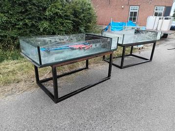 Lagere dieren aquarium koralen eiland verkoop kweek stekken  beschikbaar voor biedingen