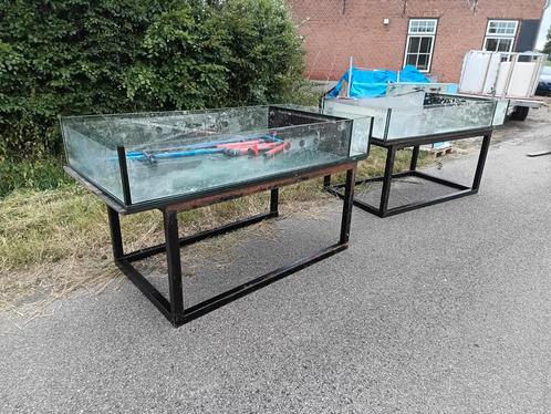 Lagere dieren aquarium koralen eiland verkoop kweek stekken, Dieren en Toebehoren, Vissen | Aquaria en Toebehoren, Zo goed als nieuw