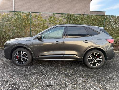 VERKOCHT: Ford Kuga St-line X '20, plug-in hyb., 54.000 km, Auto's, Ford, Bedrijf, Te koop, Kuga, ABS, Achteruitrijcamera, Adaptieve lichten