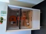 Dwerghamster met kooi, Ophalen, Gebruikt, Kooi, Hamster