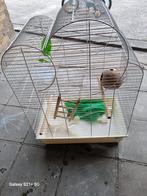 Cage à oiseaux avec accessoires, Animaux & Accessoires, Oiseaux | Cages & Volières, Comme neuf, Enlèvement, Cage à oiseaux