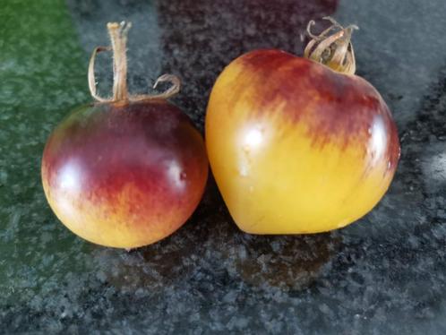 5 zaden Yellow Belle Coeur kers tomaat - biologische teelt, Tuin en Terras, Bloembollen en Zaden, Zaad, Voorjaar, Volle zon, Verzenden