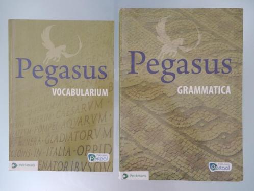 Pegasus vocabularium en grammatica, Boeken, Studieboeken en Cursussen, Zo goed als nieuw, Ophalen