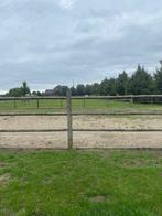 3 Stallen en weides te huur, Dieren en Toebehoren, Stalling en Weidegang, Weidegang, 2 of 3 paarden of pony's