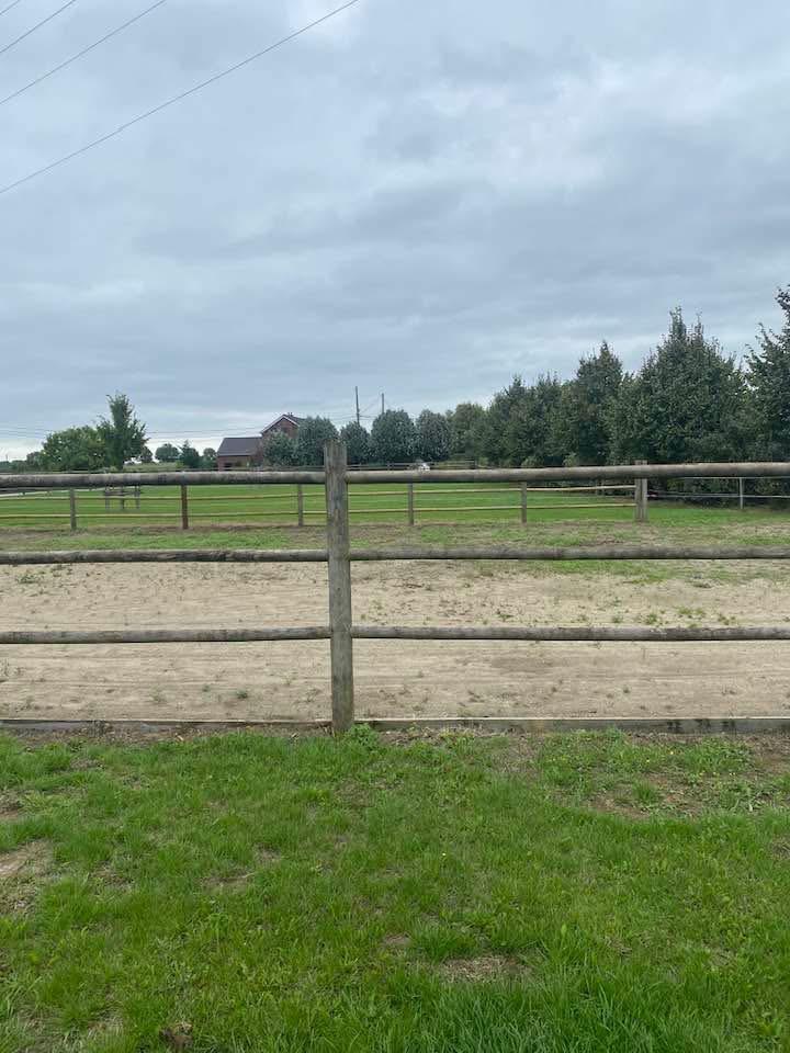 3 Stallen en weides te huur, Dieren en Toebehoren, Stalling en Weidegang, Stalling, Weidegang, 2 of 3 paarden of pony's