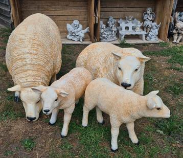 Polyester beelden, texel schapen en lammen, Enlèvement, Neuf, Synthétique, Animal