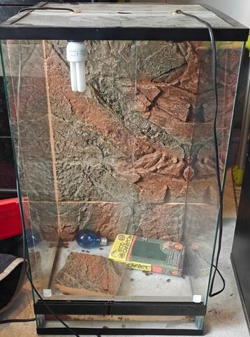 Terrarium vitré, Enlèvement, Utilisé, Terrarium ou Paludarium