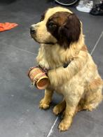 Zeer Oude taxidermie, Ophalen