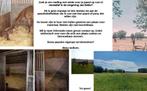 Paarden stalling met weide, Dieren en Toebehoren, Stalling en Weidegang