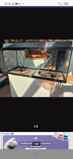 Juwel voor het aquarium, Dieren en Toebehoren, Vissen | Aquaria en Toebehoren, Ophalen of Verzenden, Zo goed als nieuw, Leeg aquarium