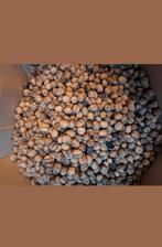 Verse walnoten, Ophalen