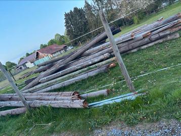 Hout gratis, Doe-het-zelf en Bouw, Hout en Planken, Ophalen