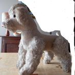 Hond, Ophalen, Gebruikt