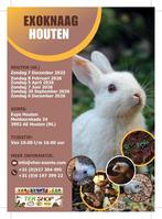 Exoknaag&Terraria Houten 08-02-2026 Benelux Grootste, Dieren en Toebehoren, Februari