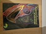 Kameleons boek, Ophalen of Verzenden, Gelezen, Reptielen of Amfibieën