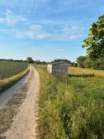 Weide (2,7 ha) Te koop, Dieren en Toebehoren, Weidegang, 2 of 3 paarden of pony's