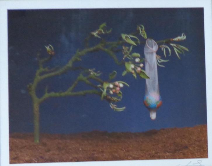 LUDO GEYSELS / BEST OF TWO WORLDS / KLEURFOTO / 61x70cm KAD, Antiek en Kunst, Kunst | Tekeningen en Fotografie, Ophalen of Verzenden
