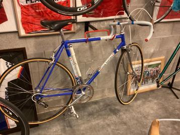 Gios torino GT super record 78 beschikbaar voor biedingen
