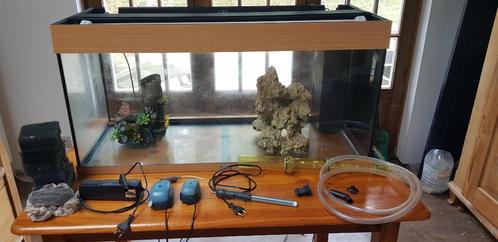 aquaria en toebehoren, Dieren en Toebehoren, Vissen | Aquaria en Toebehoren, Gebruikt, Leeg aquarium, Ophalen