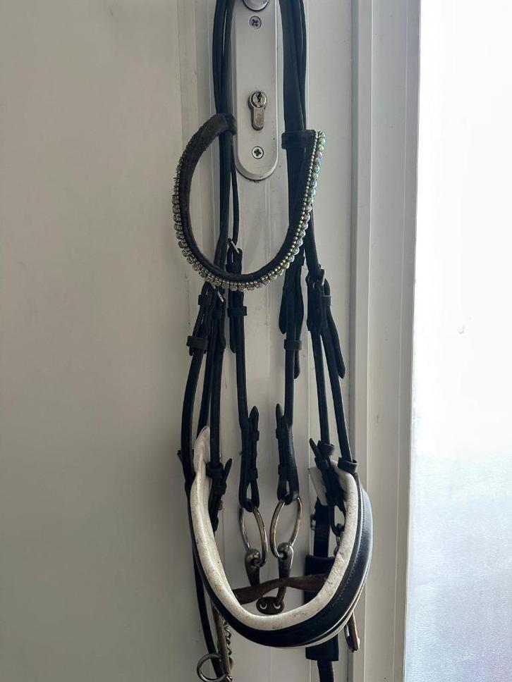 Stang en trens kopstuk full, Dieren en Toebehoren, Paarden en Pony's | Hoofdstellen en Tuigage, Gebruikt, Dressuur, Ophalen of Verzenden