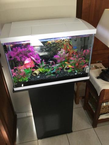 Aquarium super fish, Dieren en Toebehoren, Ophalen, Zo goed als nieuw, Leeg aquarium