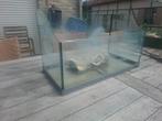 Terrarium voor schildpad, Dieren en Toebehoren, Ophalen, Gebruikt, Leeg aquarium