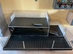 Cage pour rongeur, Dieren en Toebehoren, Knaagdieren en Konijnen | Hokken en Kooien, Ophalen, Kooi, 60 tot 90 cm, Cavia