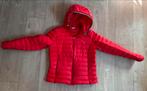 Tussenjas Tommy Hilfiger rood S, Kleding | Dames, Jasjes, Kostuums en Pakken, Ophalen, Tommy hilfiger, Zo goed als nieuw, Maat 36 (S)