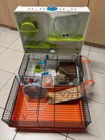 (dwerg)hamsterkooi compleet met accessoires, Ophalen, Gebruikt, Kooi, Muis