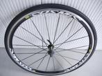 Racewiel, Gebruikt, Racefiets, Mavic, Ophalen