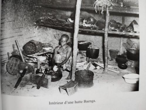 Colonial à l Équateur Congo Belge récit livre Belgique, Boeken, Geschiedenis | Nationaal, Gelezen, 20e eeuw of later, Verzenden